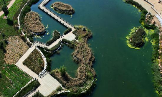 园林规划市场发展趋势及现状分析2023