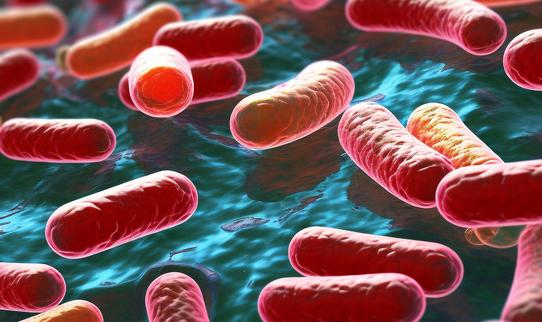 中国分子诊断行业未来发展趋势预测2023