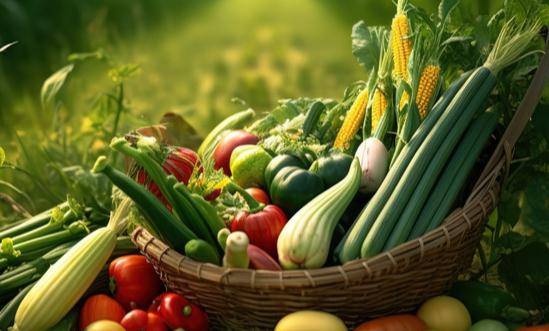 有机冷冻蔬菜市场发展趋势及现状分析2023