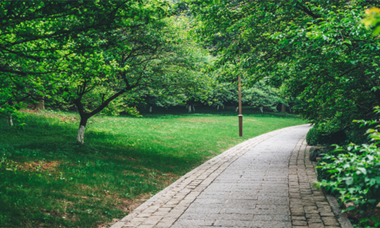 植物园产业发展规划及未来现状趋势2023