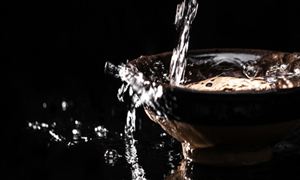 中国酱香型白酒行业市场分析2023