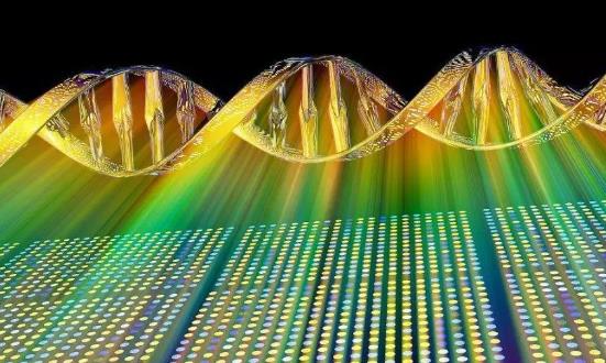 2023基因芯片行业市场调查与投资建议分析