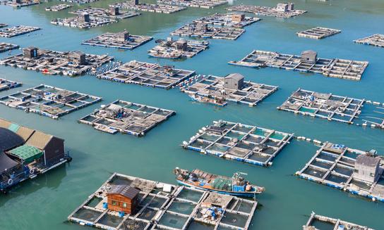 中国成品油运输行业发展前景及投资风险预测分析2023