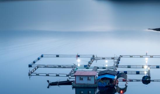 2023年水产渔业机械市场发展现状分析