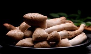 鸡枞菌十年涨价逾十倍 食用菌养殖行业发展现状及前景分析2023