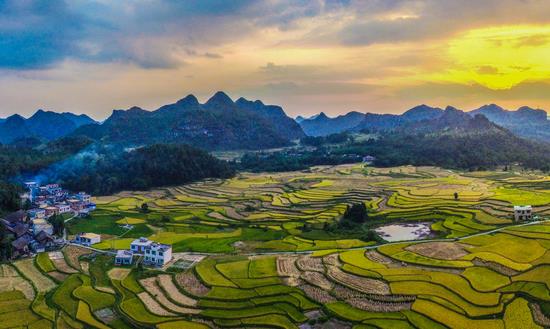 中国农业产业化联合体发展现状 中国农业产业化联合体投资前景预测