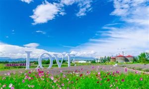 智慧农业产业市场需求 智慧农业产业发展战略研究