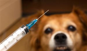 中国狂犬疫苗行业市场调研2023  狂犬疫苗出口市场广阔