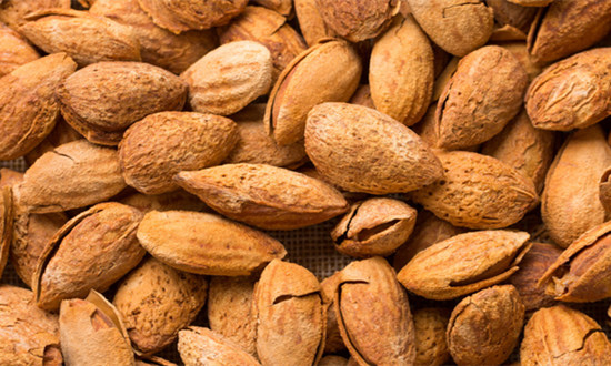 行业洞察 巴旦木行业供需格局及市场机遇趋势