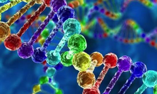 2023甲基化酶行业发展现状前景分析