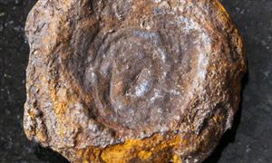 润滑油基础油行业市场发展环境与行业未来前景分析2023