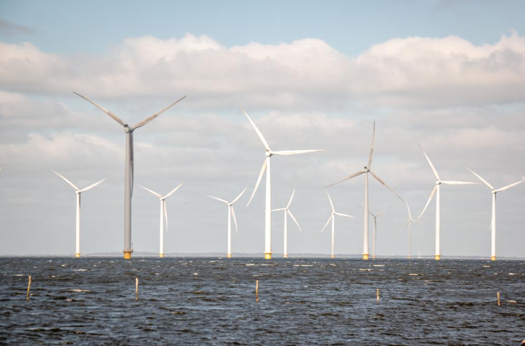 全国风电装备龙头企业现状 2023风电设备海外市场战略规划