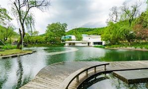 防腐木行业市场有多大?防腐木市场深度全景调研2023