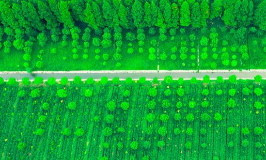 生态度假农庄市场发展趋势及现状分析2023