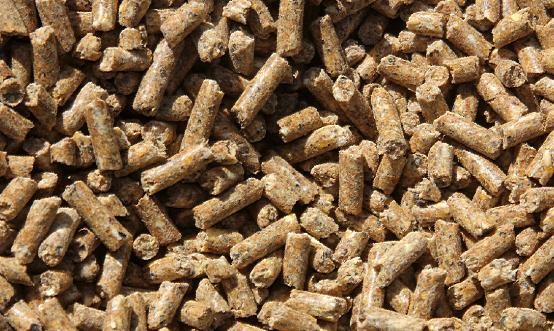 禽饲料行业市场有多大?禽饲料行业市场深度全景调研2023