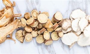 党参行业市场有多大?党参行业市场深度调研2023