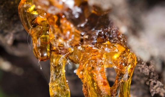 中国ABS树脂行业发展趋势预测2023