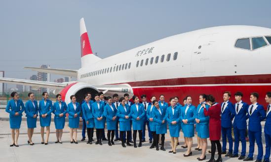 航空教育培训行业市场深度分析及发展策略研究