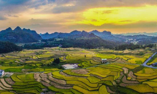 田园综合体市场发展趋势及现状分析2023