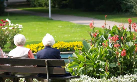 养老模式发展方向 养老模式产业市场投资前景分析