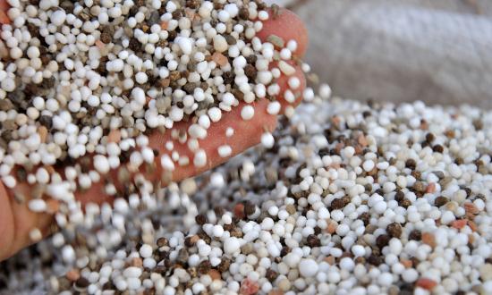 2023氮肥行业市场发展现状调研分析