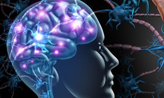 2023年质谱系统行业市场深度分析