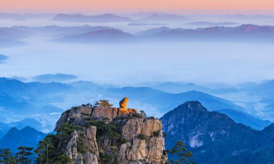 旅游摄影市场发展趋势及现状分析2023