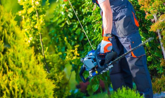 中国园林绿化工程行业市场前瞻2023