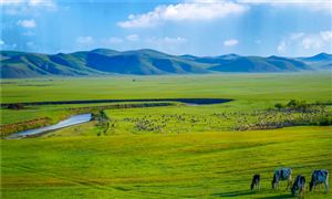 2023优质牧草行业发展趋势及市场现状分析