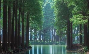 中国湿地开发行业发展前景及投资风险预测分析2023