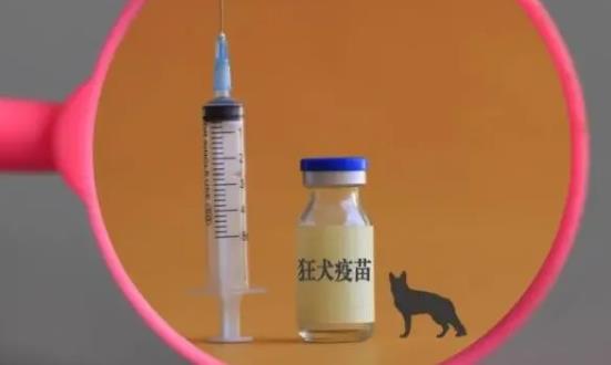 狂犬疫苗市场供给 狂犬疫苗行业发展现状前景分析2023