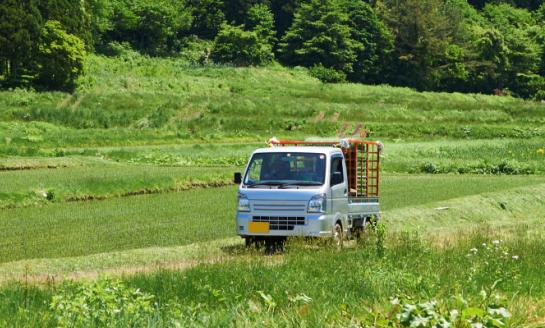 中国轻型卡车市场深度全景调研及投资前景分析2023