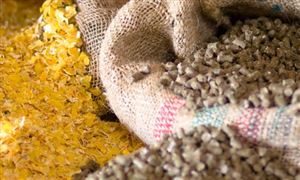 我国饲料产业发展战略机遇 转型升级步伐加快 规模化水平继续提升 