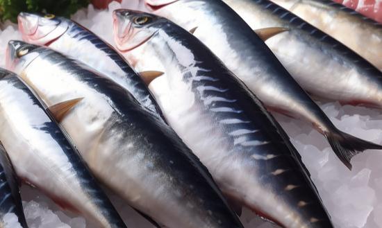 高端餐饮行业发展现状及市场前景趋势分析2023