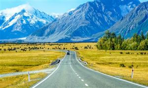 自驾旅游市场发展趋势及现状分析2023