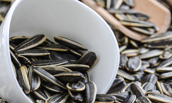 瓜子行业市场消费现状 瓜子行业前景趋势分析2023