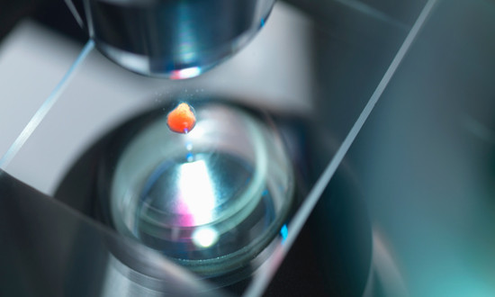 光学显微镜行业竞争格局分析及发展投资策略分析2023