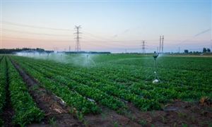 双碳”目标远景下 节水灌溉市场未来趋势预测