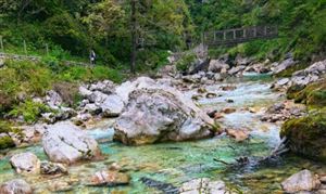 中国数字文旅行业市场消费需求 中国数字文旅行业市场未来投资战略分析
