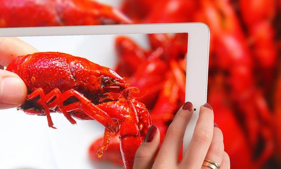 中国3D裸眼技术行业发展现状分析 中国3D裸眼技术行业投资前景预测