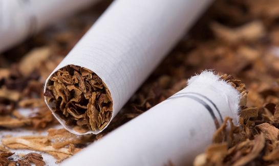 中国烟草生产行业发展前景及投资风险预测分析