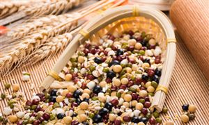 联合国粮农组织：今年全球谷物产量预计创历史新高 谷物产业现状趋势分析