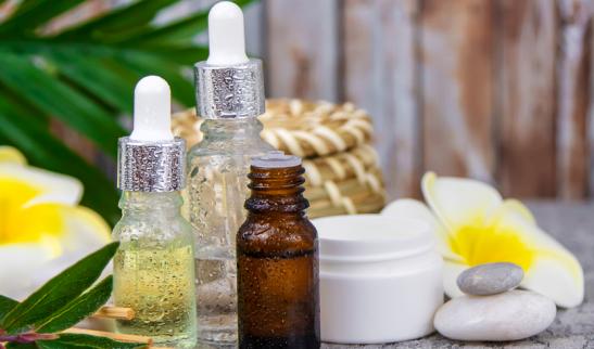 北方木本油料产业迎来良好机遇 中国木本油料市场发展前景2023