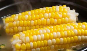 中国玉米深加工行业发展现状 中国玉米深加工行业投资趋势分析