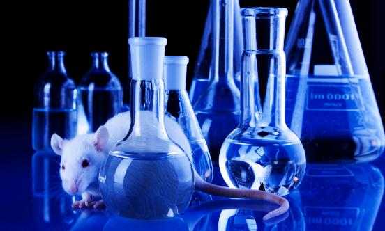 动物实验显示 首创口服化疗药物能治疗前列腺癌