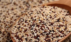 特医食品行业市场现状：我国特医食品产业发展起步晚 但市场需求巨大 产业增长迅速