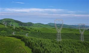 国家发改委等三部门：到2035年，基本建成安全可靠、智能开放的现代化农村电网