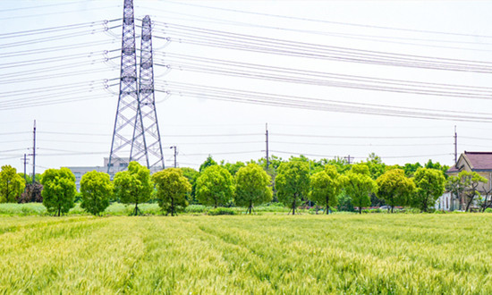 三部门:加强农村电网薄弱地区电网建设改造 到2025年东部地区户均配变容量不低于3.5千伏安