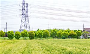 三部门:加强农村电网薄弱地区电网建设改造 到2025年东部地区户均配变容量不低于3.5千伏安