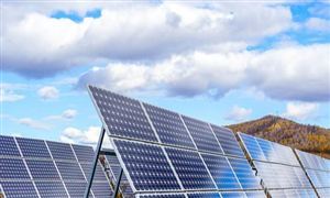 硅料跌势渐缓 组件分销商也开始酝酿涨价 市场份额或继续向龙头集中